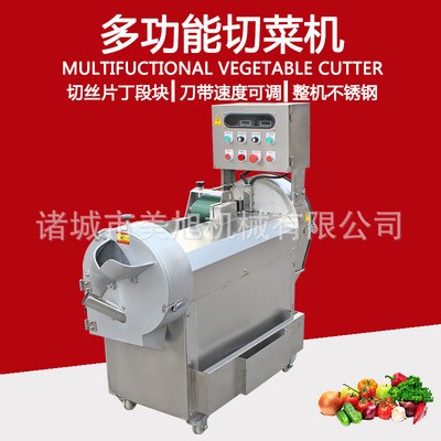 变频调速双头切菜机 香菇切丁机 莴笋切丝切片机 蒜苗韭菜切段机图2