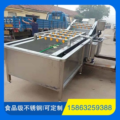 大枣菠菜清洗机 全自动清洗风干设备 清洗风干机厂家图2