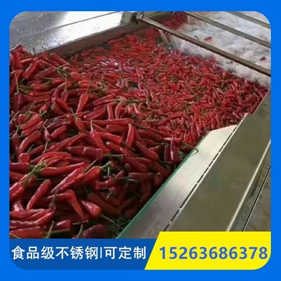 大枣菠菜清洗机 全自动清洗风干设备 清洗风干机厂家图3