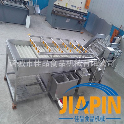 网带式水产品清洗机流水线 海蛎子清洗机厂家报价 整机不锈钢制造图2