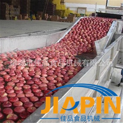 网带式水产品清洗机流水线 海蛎子清洗机厂家报价 整机不锈钢制造