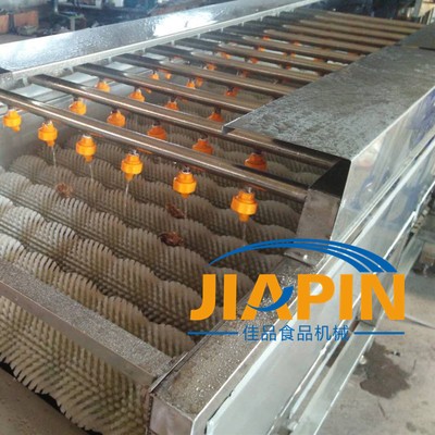 网带式水产品清洗机厂家 海蛎子清洗机厂家 牡蛎高压喷淋清洗机