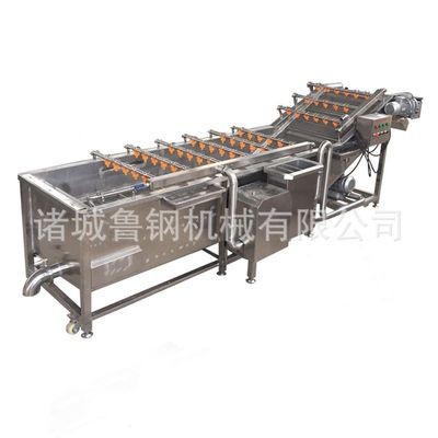 商用果蔬气泡清洗机 高压喷淋清洗机 小龙虾清洗机图2