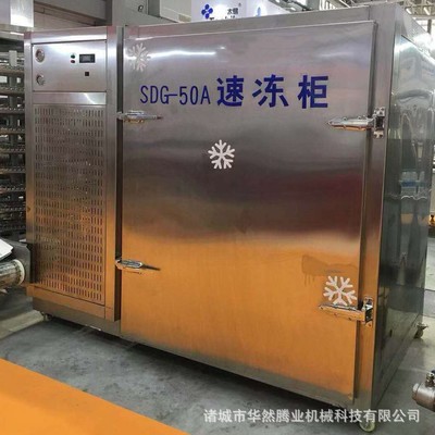 厂家供应 压缩机式速冻机 生产饺子液氮速冻柜 水饺小型急冻设备