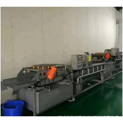 现货热销洗菜机 商用涡流清洗机 蔬菜水果清洗机 支持定制 气泡图4