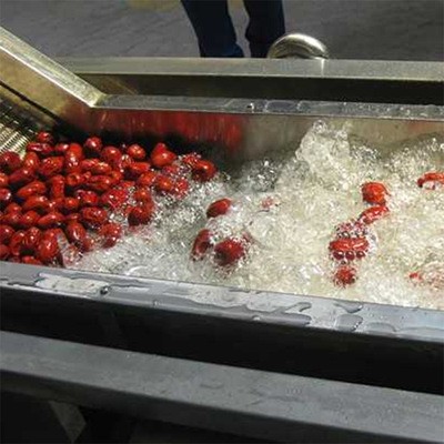 中央厨房清洗线 全自动果蔬清洗机 气泡清洗机 果蔬清洗一体机图2