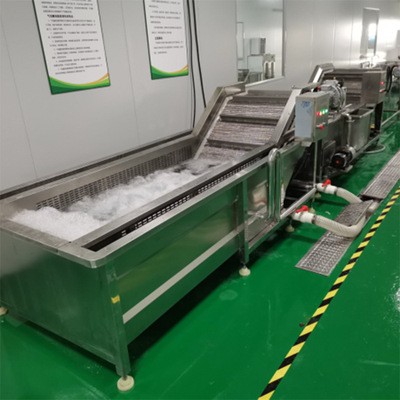 气泡清洗机果蔬处理设备 快餐店果蔬清洗机 果蔬清洗设备图2