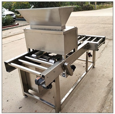 现货供应 MW-600型 能南瓜籽撒料机 核桃仁 果仁儿料粒撒料机图2