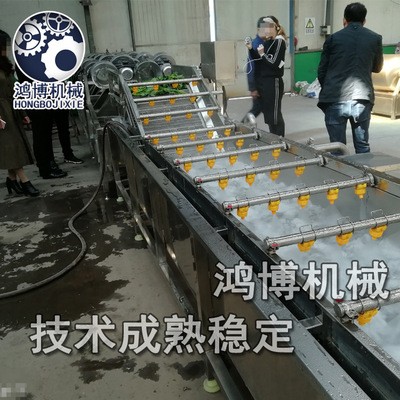 大型气泡清洗机定制加工 食品厂用清洗线 推荐鸿博清洗机图3