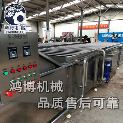 全自动果蔬清洗机 大型气泡翻浪清洗线 全自动果蔬清洗机现货图2