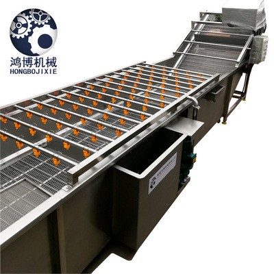 全自动果蔬清洗机 大型气泡翻浪清洗线 全自动果蔬清洗机现货图5