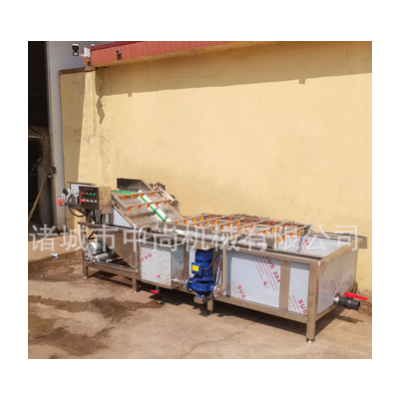 全自动喷淋式蔬菜清洗机 臭氧果蔬清洗机 净菜全套流水线设备厂家