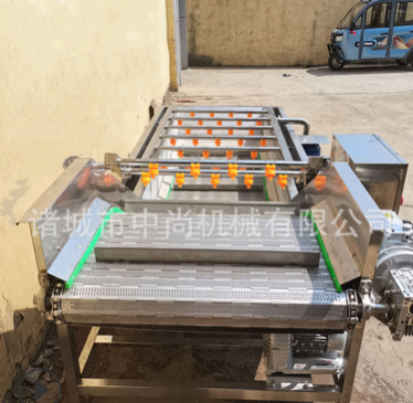 全自动喷淋式蔬菜清洗机 臭氧果蔬清洗机 净菜全套流水线设备厂家图4