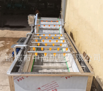 油菜菠菜清洗机 商用车厘子果蔬气泡清洗设备 小米辣椒气泡清洗机图4