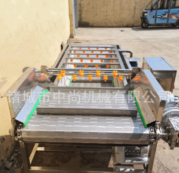 蔬菜水果清洗机 全自动中药材清洗设备 猕猴桃翻滚高压气泡清洗机图2