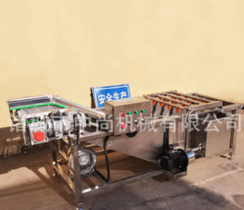 蔬菜水果清洗机 全自动中药材清洗设备 猕猴桃翻滚高压气泡清洗机