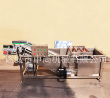 蔬菜水果清洗机 全自动中药材清洗设备 猕猴桃翻滚高压气泡清洗机图3