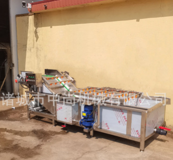 蔬菜水果清洗机 全自动中药材清洗设备 猕猴桃翻滚高压气泡清洗机图4