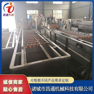 喷淋式玉米秋葵气泡清洗机 水果蔬菜气泡清洗机 全自动果蔬清洗机图3