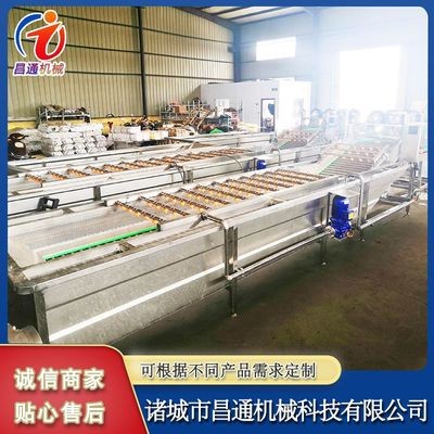 不锈钢果蔬清洗设备 全自动蔬菜气泡清洗机 连续式辣椒气泡清洗机图2