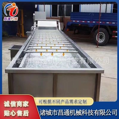 不锈钢果蔬清洗设备 全自动蔬菜气泡清洗机 连续式辣椒气泡清洗机图3