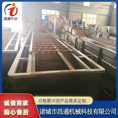 不锈钢果蔬清洗设备 全自动蔬菜气泡清洗机 连续式辣椒气泡清洗机图4