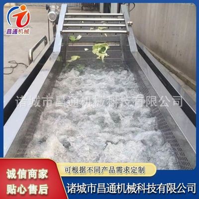 土豆小龙虾果蔬气泡清洗机 全自动气泡清洗机 鲜辣椒净菜清洗设备图2