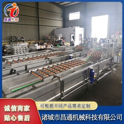 土豆小龙虾果蔬气泡清洗机 全自动气泡清洗机 鲜辣椒净菜清洗设备图4