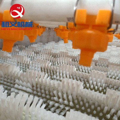 烟台海蛎子清洗机 厂家销售高压喷淋清洗设备 海蛎子毛刷清洗机器图4