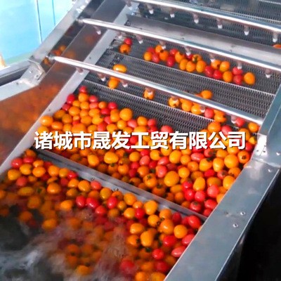 高压气泡清洗机 香菇清洗机 全自动木耳气泡清洗机 扇贝清洗机图4