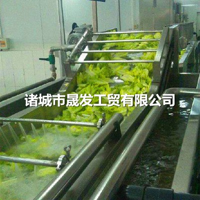 高压气泡清洗机 香菇清洗机 全自动木耳气泡清洗机 扇贝清洗机图2