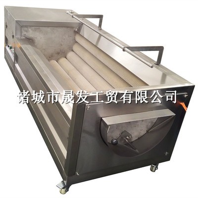 胡萝卜毛刷清洗机 连续式土豆去皮抛光机 速冻薯条生产流水线图4