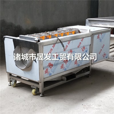 胡萝卜毛刷清洗机 连续式土豆去皮抛光机 速冻薯条生产流水线图5
