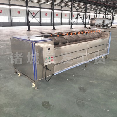 胡萝卜毛刷清洗机 连续式土豆去皮抛光机 速冻薯条生产流水线图2