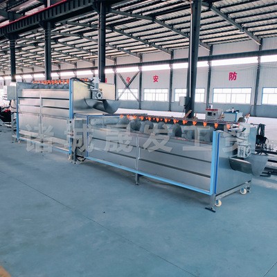 高压喷淋蔬菜毛辊清洗机厂家 菠菜全自动清洗机 中央厨房洗菜机图4