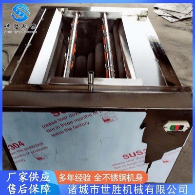 供应党参毛辊清洗机 不锈钢毛刷清洗机 莲藕去皮清洗机设备图2