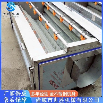 供应党参毛辊清洗机 不锈钢毛刷清洗机 莲藕去皮清洗机设备