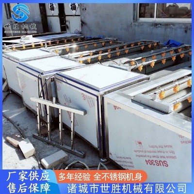 供应党参毛辊清洗机 不锈钢毛刷清洗机 莲藕去皮清洗机设备图4