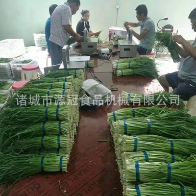 韭菜去皮机 韭菜 蒜苗香菜根部去泥机 采用高压气冲式 源冠机械图4