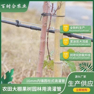 16滴灌管厂家 生产供应园林果树灌溉农用黑色内镶圆柱式滴灌管材图2
