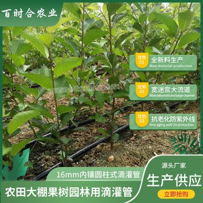 16滴灌管厂家 生产供应园林果树灌溉农用黑色内镶圆柱式滴灌管材图4