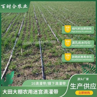 迷宫滴灌带价格优 厂家生产供应膜下大田温室农用迷宫式16滴水带图3