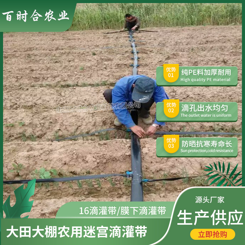 迷宫滴灌带价格厂家山东百时合农业科技有限公司