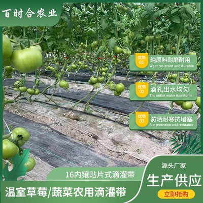 贴片式滴灌带 厂家供应大棚农田蔬菜果树用灌溉内镶贴片式滴水带图4