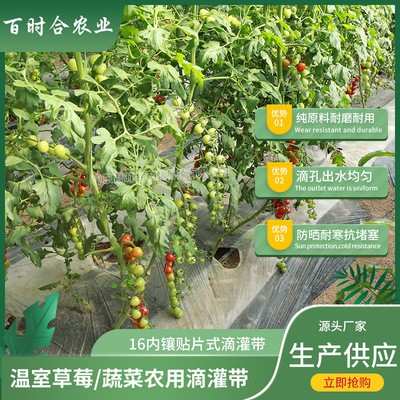 贴片式滴灌带 厂家供应大棚农田蔬菜果树用灌溉内镶贴片式滴水带图3