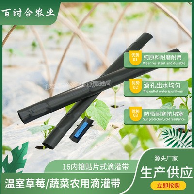 贴片式滴灌带 厂家供应大棚农田蔬菜果树用灌溉内镶贴片式滴水带
