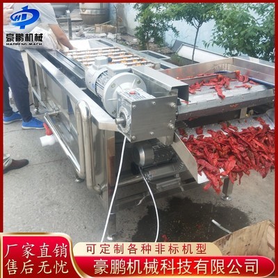 多功能果蔬气泡清洗机 全自动蔬菜辣椒清洗机 净菜加工设备图2