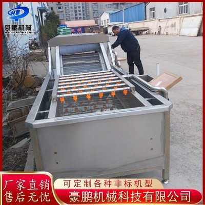 多功能果蔬气泡清洗机 全自动蔬菜辣椒清洗机 净菜加工设备图3