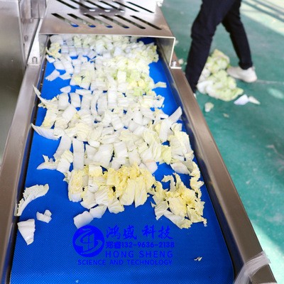 白菜切条机 泡菜腌制白菜切条机 白菜不粘刀斩切速度快 省人工图2