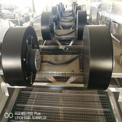 瓜果蔬菜清洗风干设备 果汁饮料清洗风干流水线 果蔬气泡清洗机图2